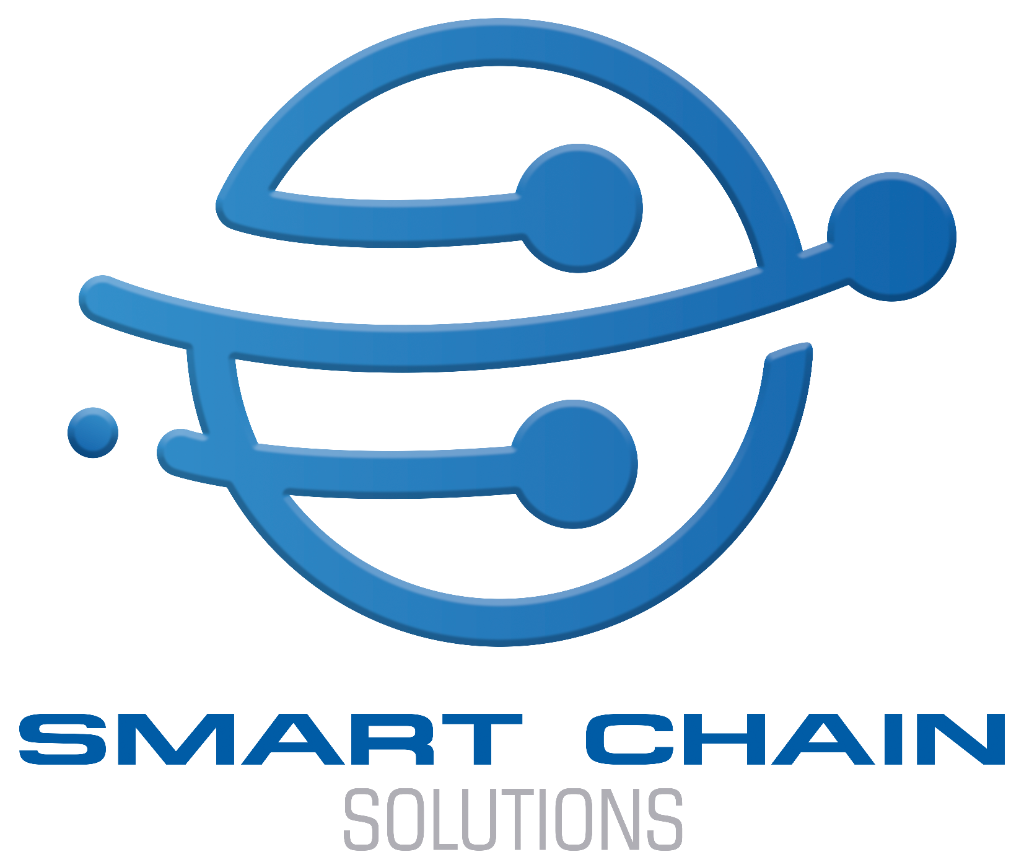 Smart Chain Solutions Logo Globe